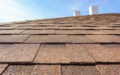 Asphalt Shingles: Adding Value and Longevity to Your Home