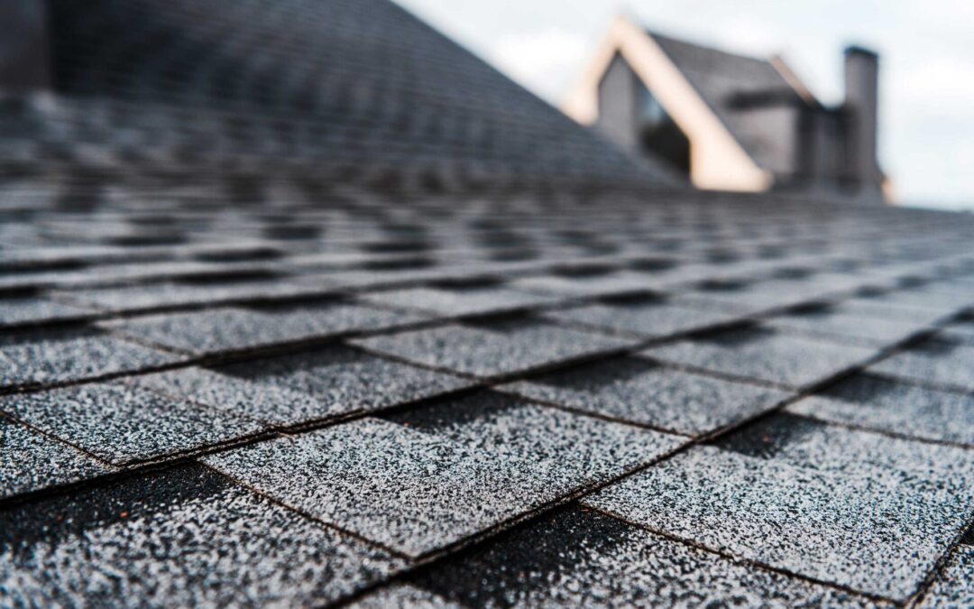 What Roofing Materials Should I Use for My Home in Salt Lake City?