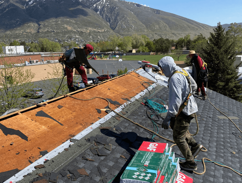 Olympus Three Men Working On Roof during a roof repair