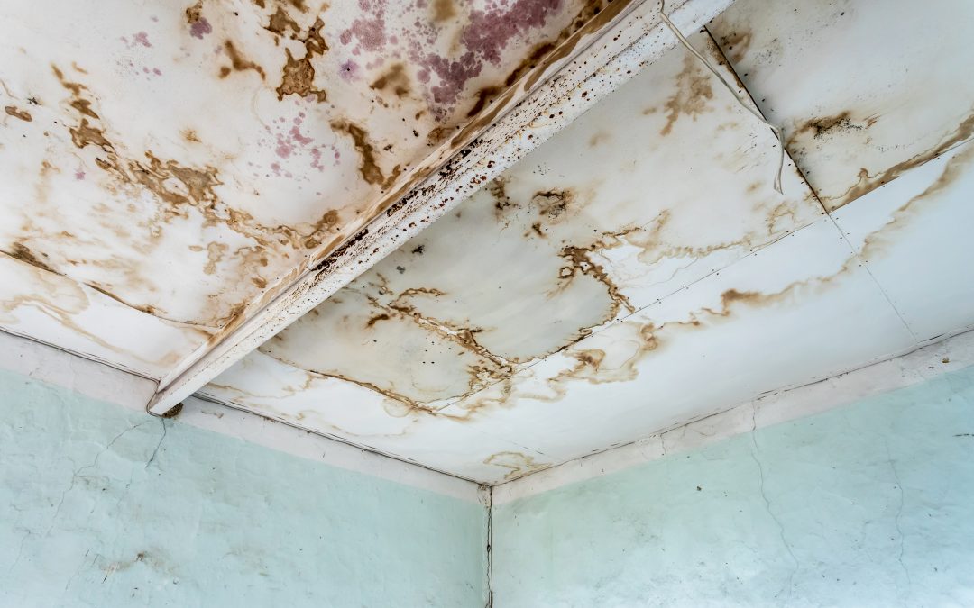 How to Find a Roof Leak Before It Causes Serious Damage